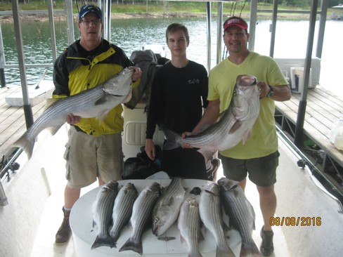 Nice Striped Bass